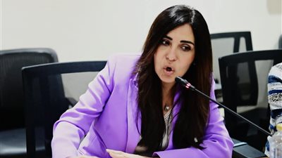 إنجي أنور: إعلام الدولة يواجه تحديات كبيرة.. ونحتاج سرعة إتاحة الرواية الرسمية 