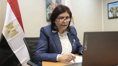 القومي للمرأة يستعرض تجربة مصر بتمكين المرأة باجتماع الكوميسا بأديس أبابا