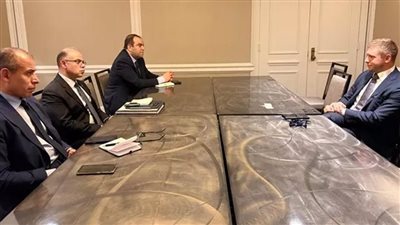 وزير الاستثمار يبحث توطين تكنولوجيا خفض الانبعاثات الكربونية ودعم الاقتصاد الأخضر