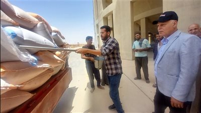 محافظ أسيوط يعلن بدء موسم حصاد القمح 2026 وتوريد 387 طنًا في اليوم الأول 