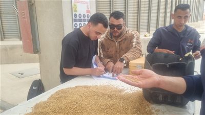 تجهيز 11 موقعًا بسعة 327 ألف طن لتخزين القمح بشون وصوامع القليوبية