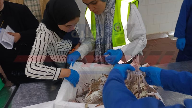 المضبوطات 