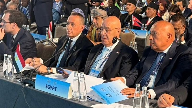 النائب المصري خلال