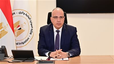 وزير الري: معيار نجاح المشروعات الممولة دوليا يقاس بتحقيق عائد تنموي ملموس