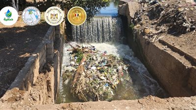 مبادرة شبابية بالفيوم تنفذ أنشطتها في إبشواي لتطهير المجاري المائية