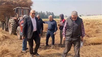 رئيس قطاع الخدمات بالزراعة يتابع حصاد القمح بالغربية
