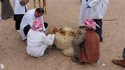 مركز 