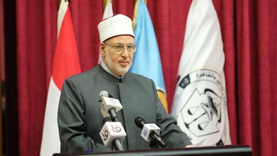 الضويني: نحتاج إلى مشروع متكامل لتحصين الأسرة