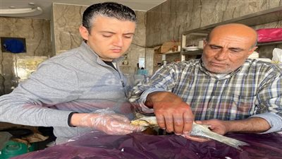 ضبط فسيخ غير صالح للاستهلاك الآدمي بكفر الشيخ