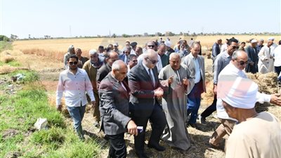 محافظ الفيوم يفتتح موسم حصاد القمح بأحد الحقول الزراعية بقصر رشوان