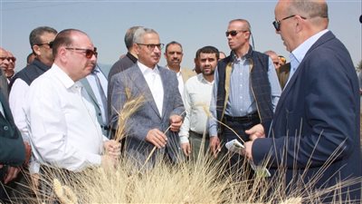 محافظ بني سويف يفتتح موسم حصاد القمح  ويؤكد جاهزية مواقع الاستلام