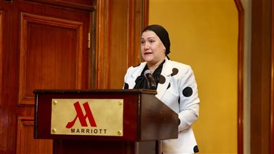 رئيسة الطفولة والأمومة تشارك في ورشة عمل حول 