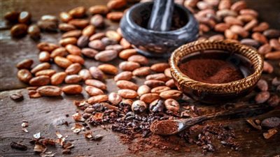 صادرات غانا غير التقليدية تحقق نموًا بدعم من تصنيع الكاكاو والسلع ذات القيمة المضافة