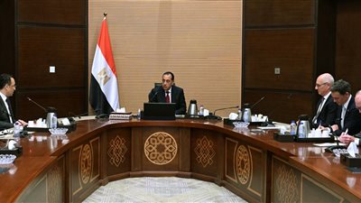 رئيس الوزراء يلتقي الرئيس التنفيذي لشركة 