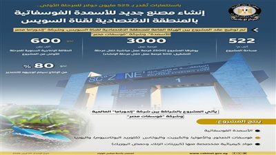 الحكومة : مشروع 