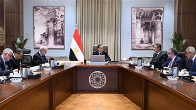 رئيس الوزراء يُتابع مستجدات مشروع إنشاء مركز عالمي لتخزين وتوريد وتجارة الحبوب والزيوت