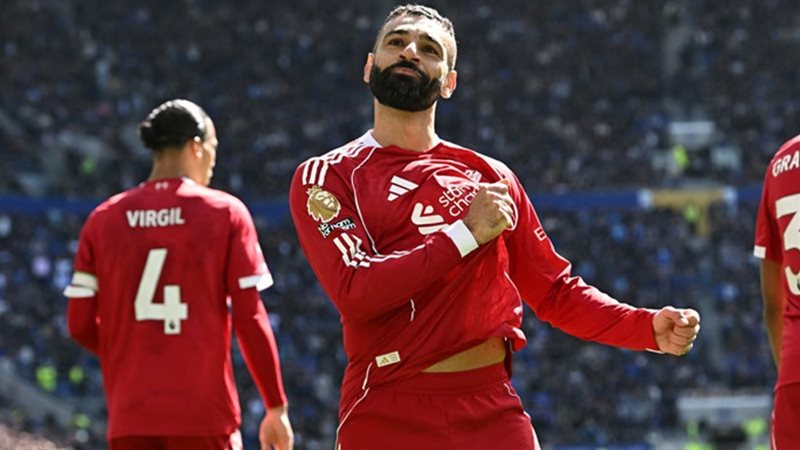 النجم المصري محمد