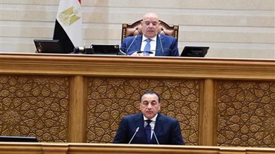 رئيس الوزراء يستعرض أمام البرلمان خطط مواجهة الأزمات الإقليمية العالمية