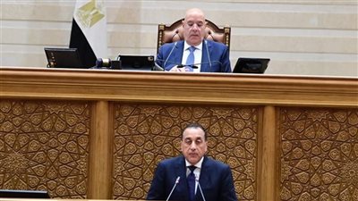 ماذا قال رئيس الوزراء أمام مجلس النواب اليوم؟ ... شاهد بالفيديو