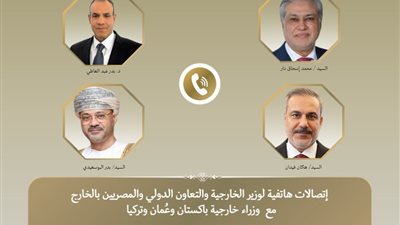  وزير الخارجية يجرى مباحثات عربية وإسلامية بشأن التطورات الإقليمية 