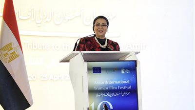 أمل عمار تشيد بدعم الاتحاد الأوروبي وتمكين المرأة خلال مهرجان أسوان الدولي