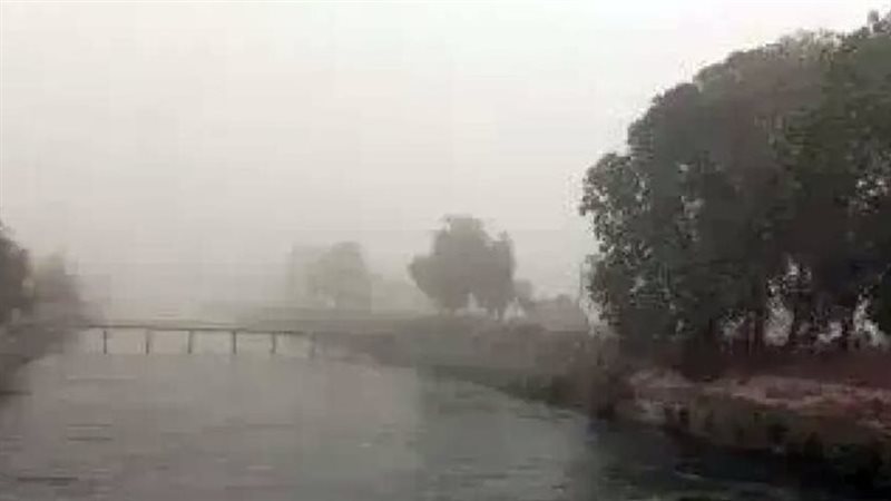 أرشيفية