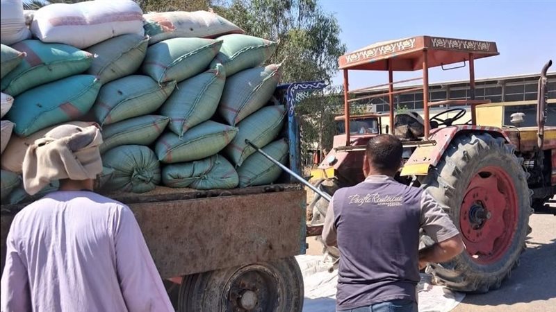 توريد القمح بأسيوط