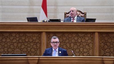 وزير التخطيط: الخطة الجديدة تستهدف المواطن كأولوية والاهتمام بالصحة والتعليم