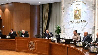  الحكومة تعتمد ضوابط جديدة لحوكمة اختيار ممثلي الدولة في الشركات