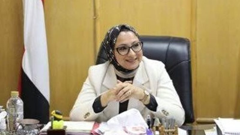 محافظ الوادي الجديد