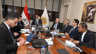 وزير الصناعة يبحث مشروعًا جديداً لإنتاج الأمونيا الخضراء 