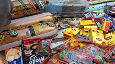 ضبط 3010 قطع مواد غذائية و194 عبوة مبيدات زراعية منتهية الصلاحية بالغربية