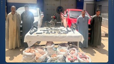 أجهزة الأمن تُحبط تشكيلًا عصابيًا شديد الخطورة لسرقة شحنة دواجن بالإكراه بقنا 