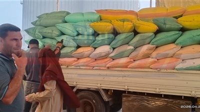 توريد أكثر من 3.9 ألف طن قمح بكفر الشيخ وتشكيل غرفة عمليات لمتابعة الاستلام