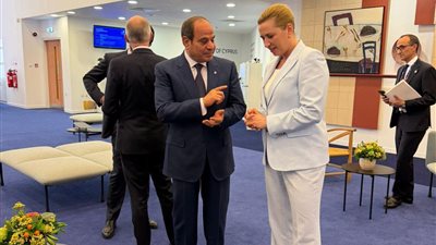نص كلمة الرئيس السيسي في الاجتماع التشاوري الأوروبي العربي