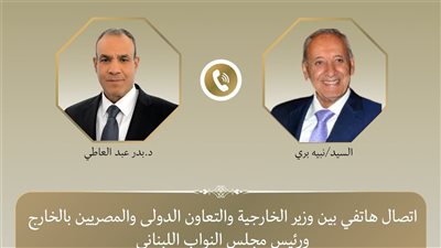 اتصال هاتفي بين وزير الخارجية ورئيس مجلس النواب اللبناني