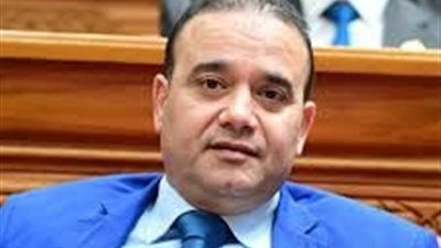 برلماني: ذكرى تحرير سيناء ملحمة وطنية خالدة ورسالة قوة في مواجهة التحديات الداخلية والخارجية