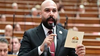 برلماني: كلمة الرئيس في ذكرى تحرير سيناء وثيقة وطنية تؤكد أن حماية الأرض وبناؤها مساران لا ينفصلان