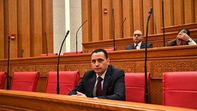 برلماني: خطاب الرئيس في ذكرى تحرير سيناء حمل رسائل طمأنة للمصريين