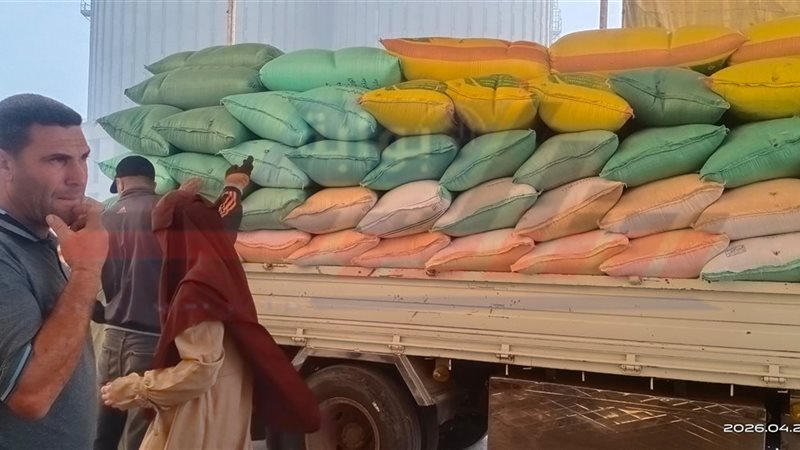 توريد القمح 