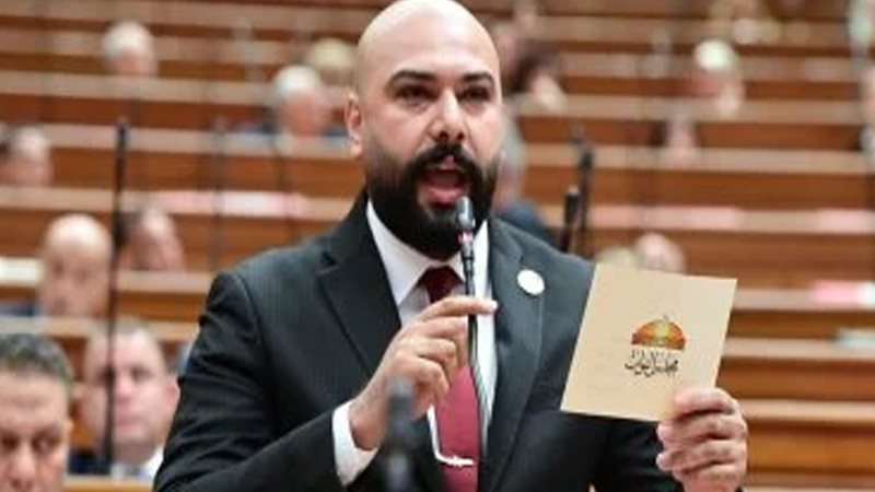 النائب إبراهيم الديب