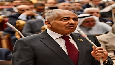 وكيل الشيوخ: التواجد المصري بالمحافل الرياضية الدولية ضرورة لتحقيق نتائج تعكس قيمة ومكانة مصر