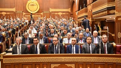 نائب بالشيوخ يحذر: المراهنات الرياضية “قنابل موقوتة” تهدد هوية الشباب