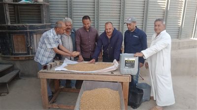 محافظ المنوفية يتابع منظومة توريد محصول القمح ويؤكد توريد 9 آلاف طن منذ بدء الموسم 