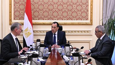 رئيس الوزراء يلتقي وزير البترول لمتابعة عدد من الملفات المهمة