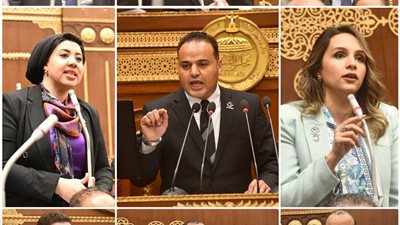 التنسيقية تفتح ملف استعداد مصر لأولمبياد 2028 بمجلس الشيوخ