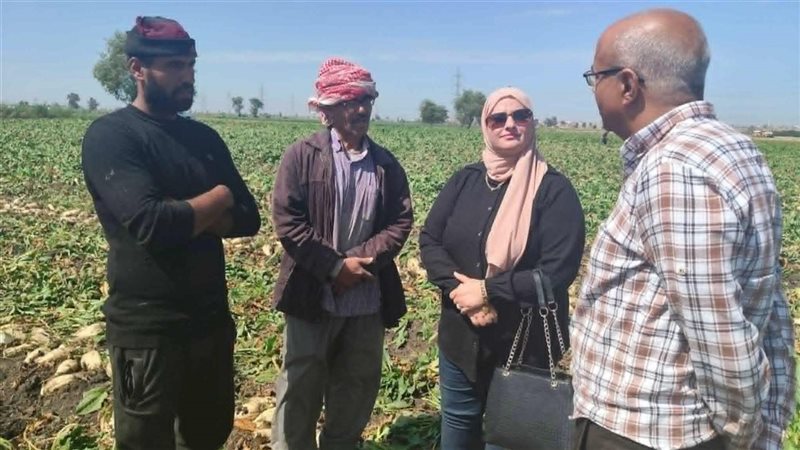 د. إبراهيم عبد المنعم،