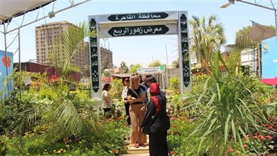 من قلب معرض زهور الربيع.. جناح هيئة نظافة القاهرة يجمع بين الجمال والجودة والسعر المناسب
