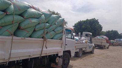توريد 35 ألف طن قمح محلي إلى صوامع وشون سوهاج منذ بدء الموسم