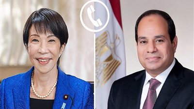 السيسي يؤكد ضرورة توافق الرؤى مع اليابان بشأن تجنب دول المنطقة تبعات التصعيد